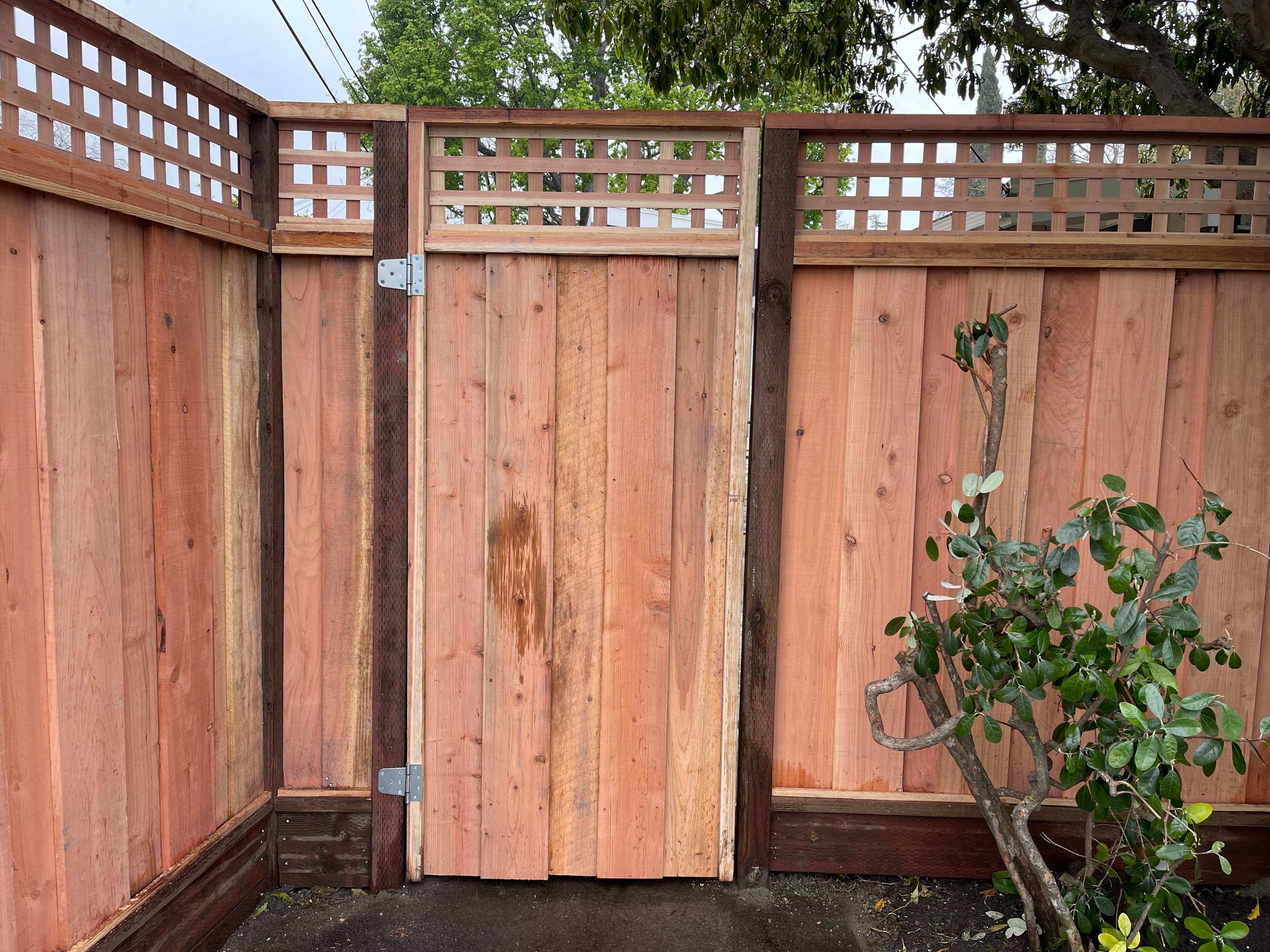 Gate 6+1 Square Lattice