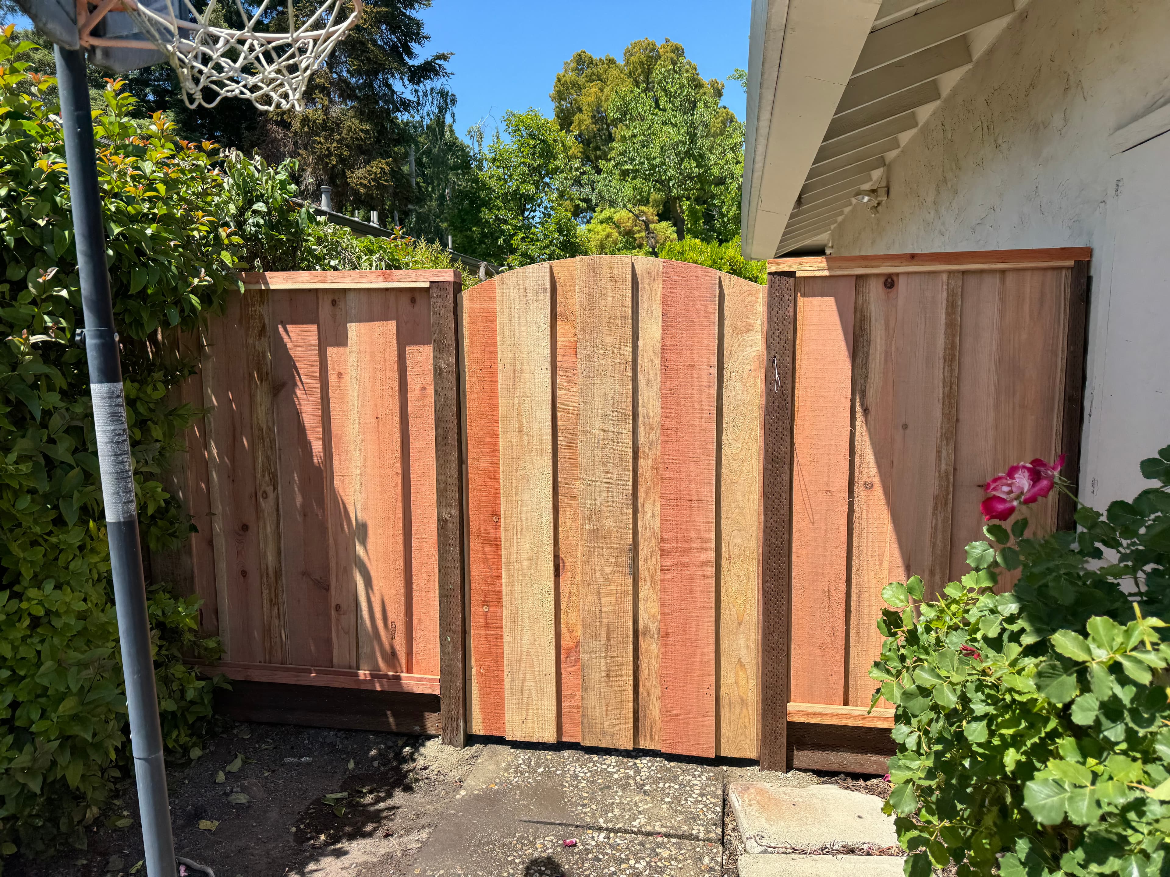 Gate Standard Arched Top