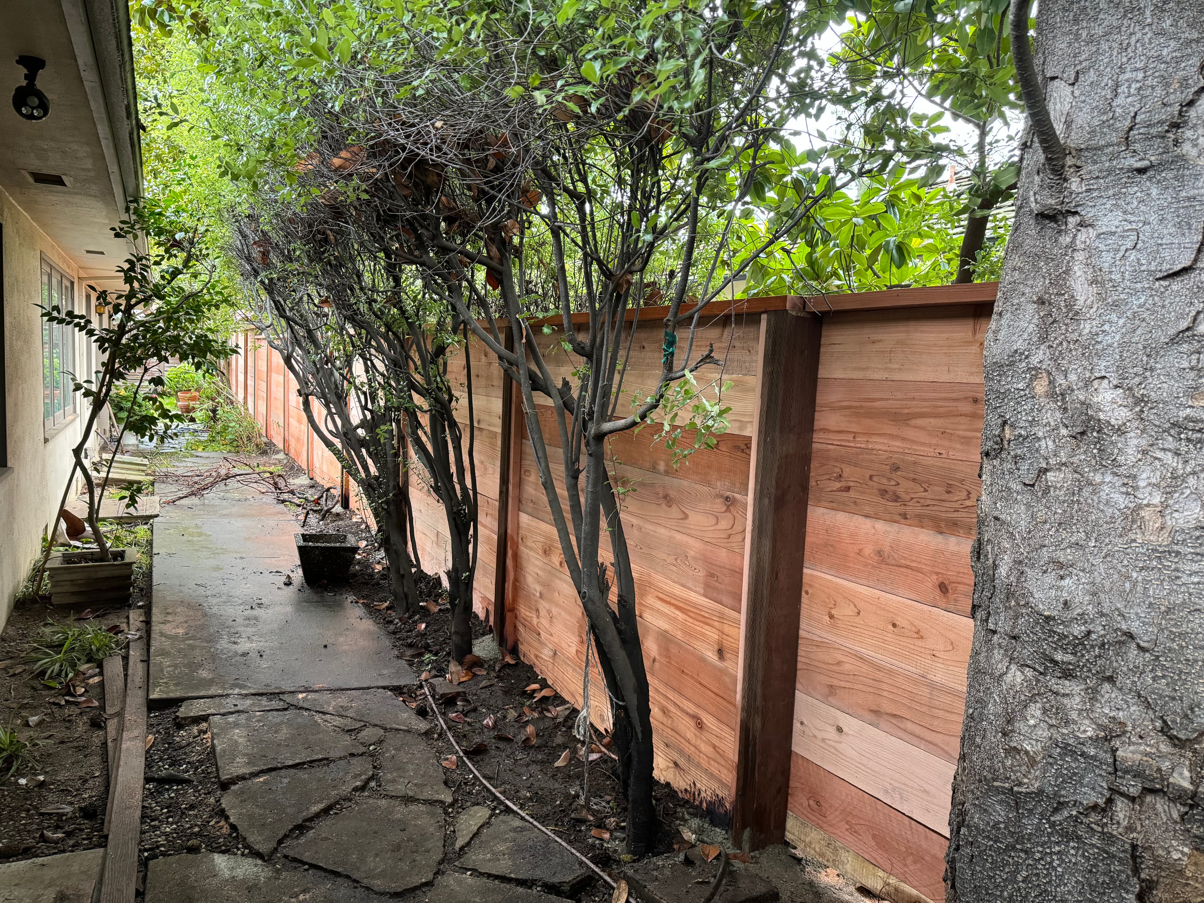 Horizontal Inbetween Posts 2