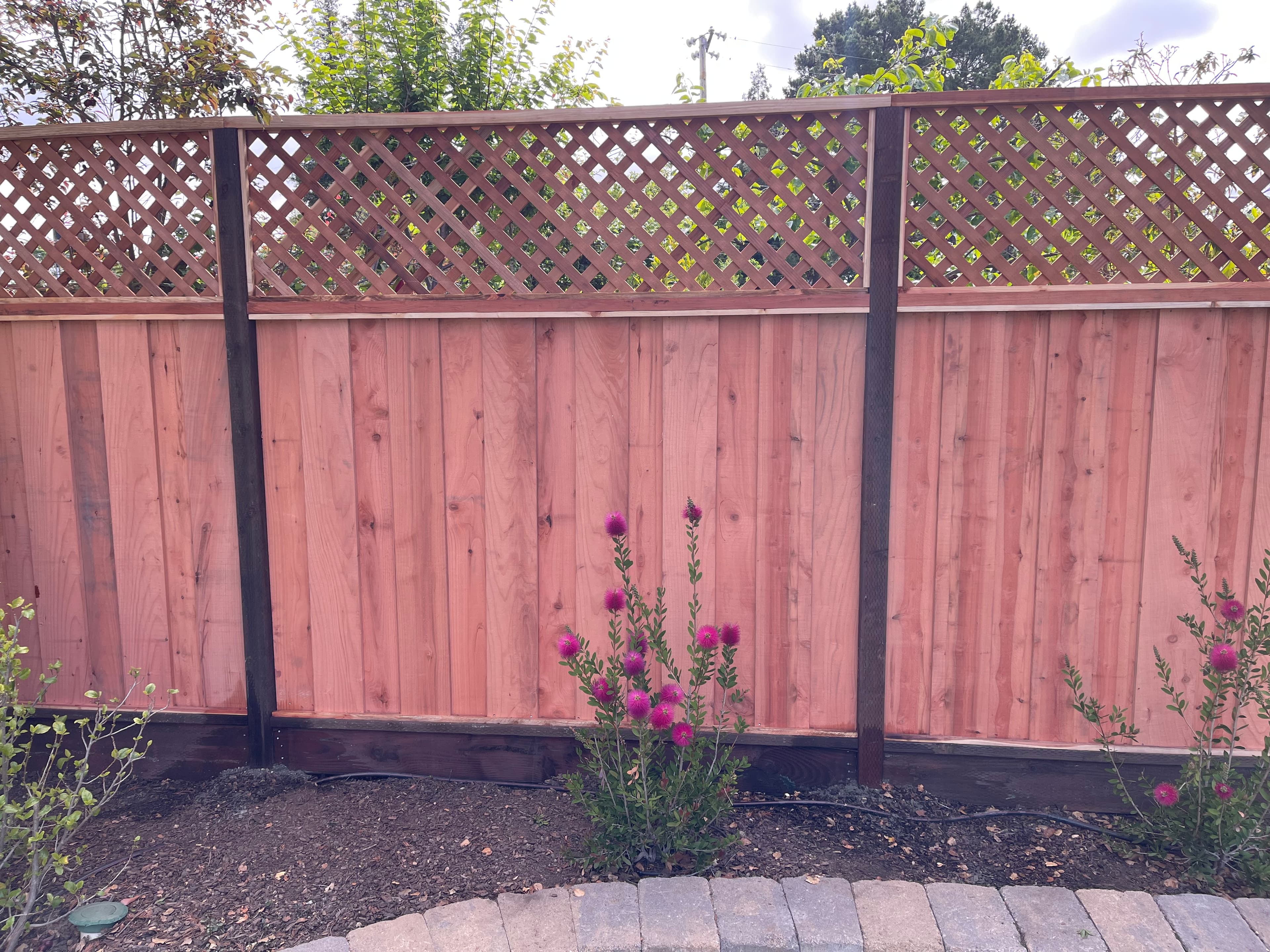 2' Diagonal Lattice Heart