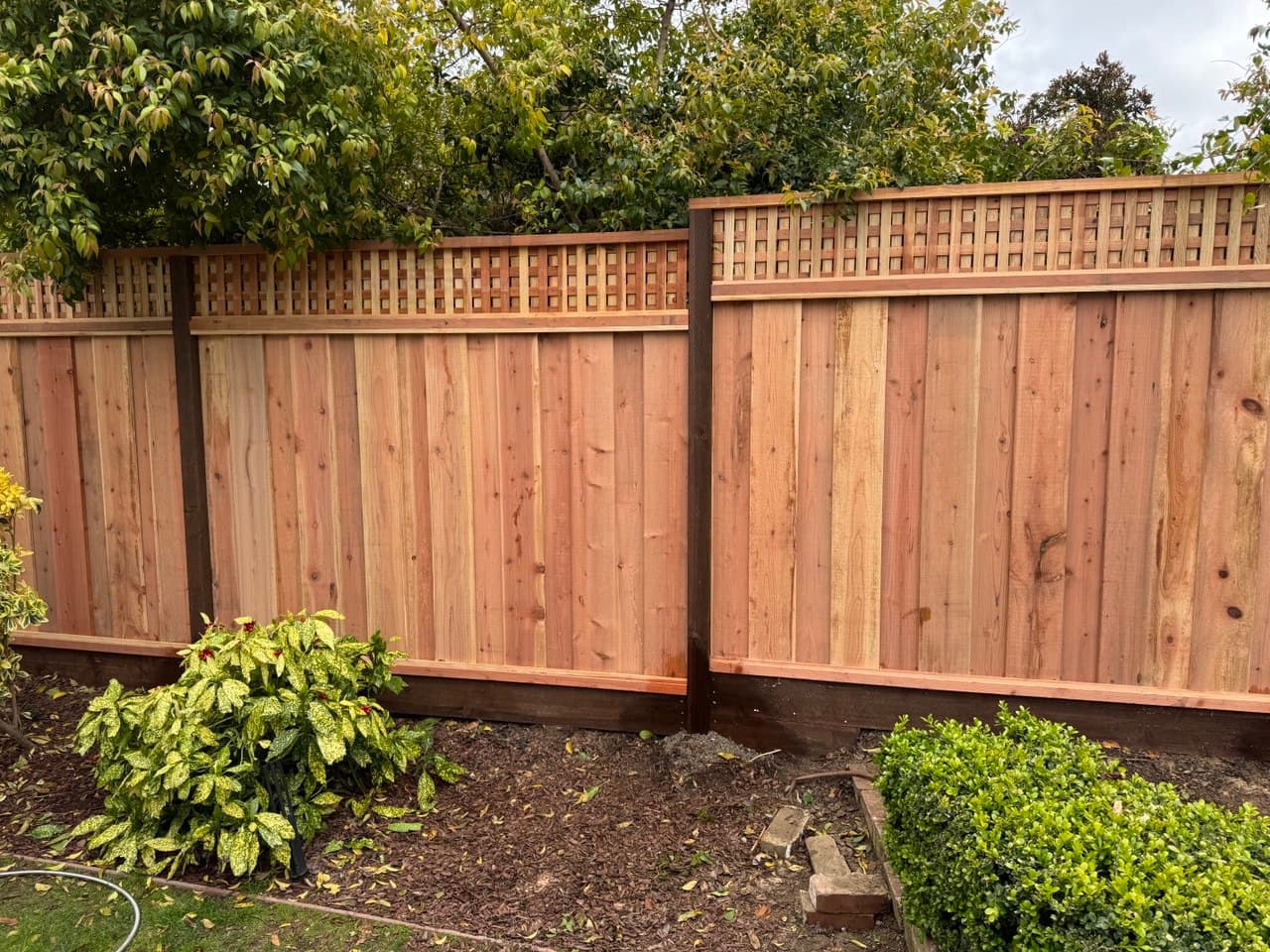 6+1 Triple Square Lattice Common