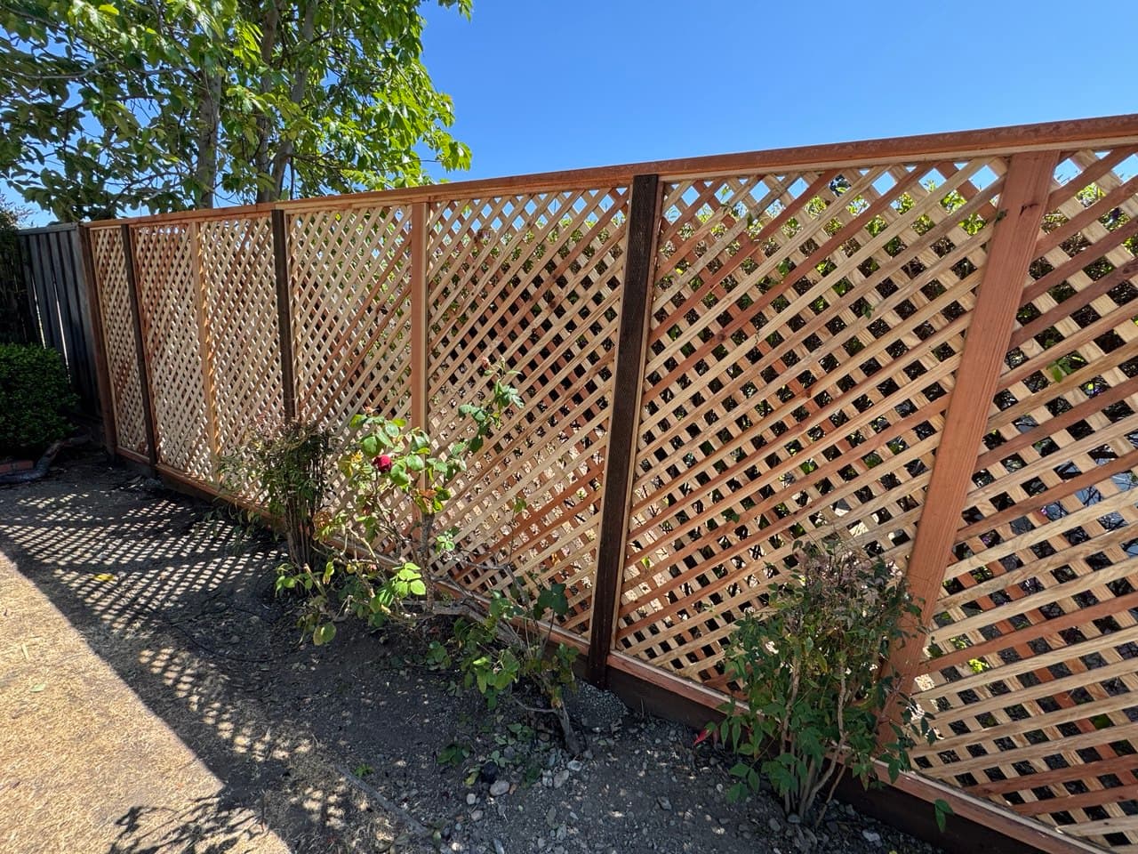 7 Diagonal Lattice Fence 2