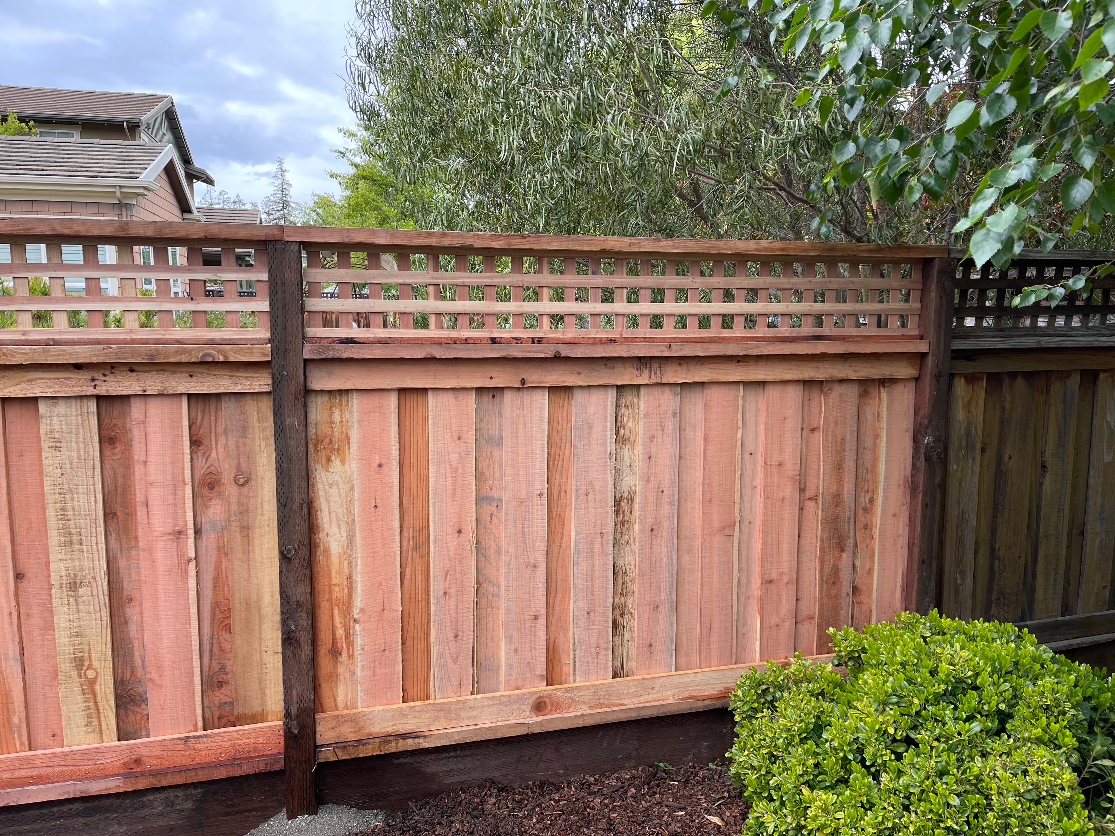 Common Square Lattice