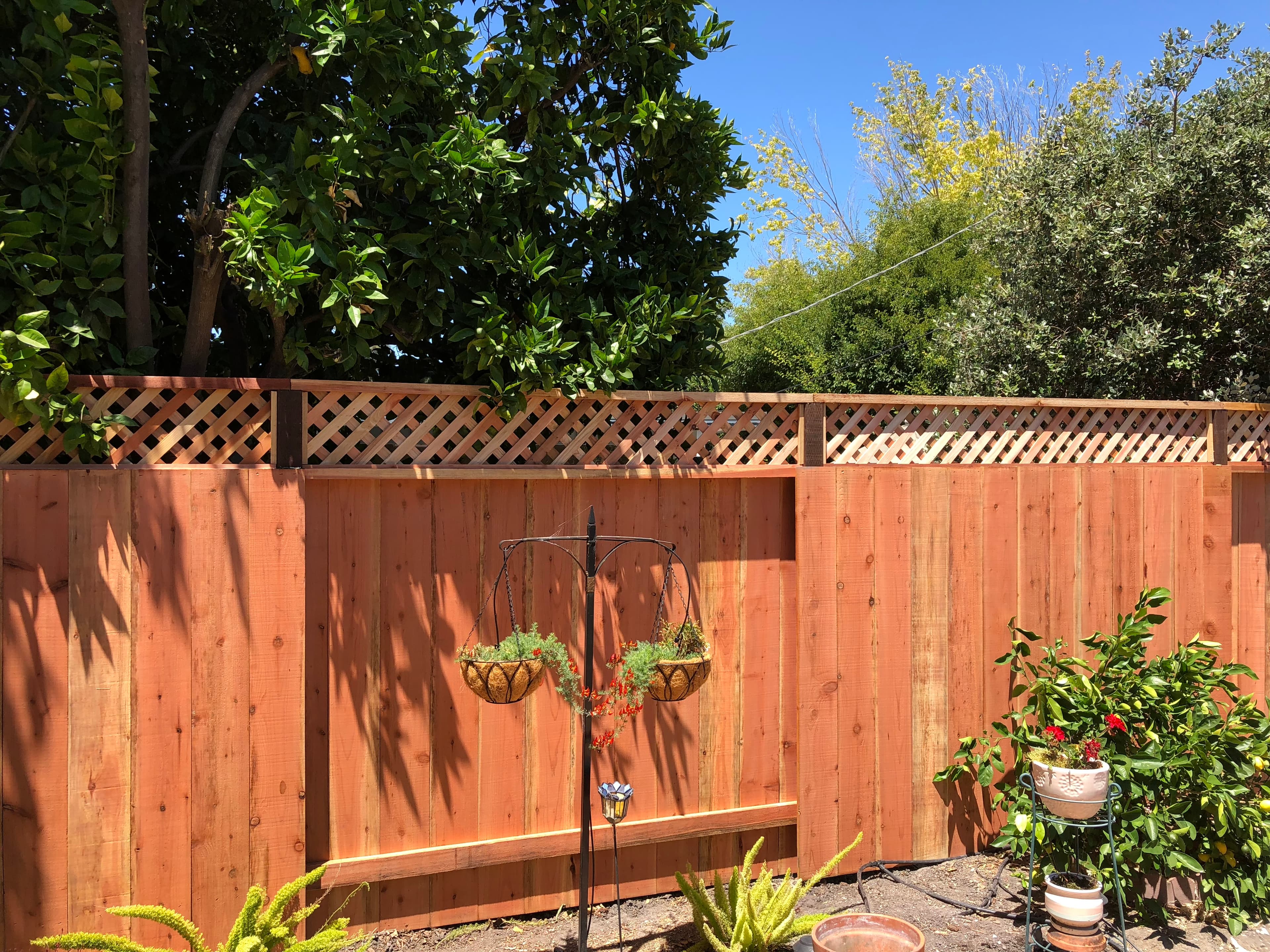 Alternating Nail On W Diagonal Lattice