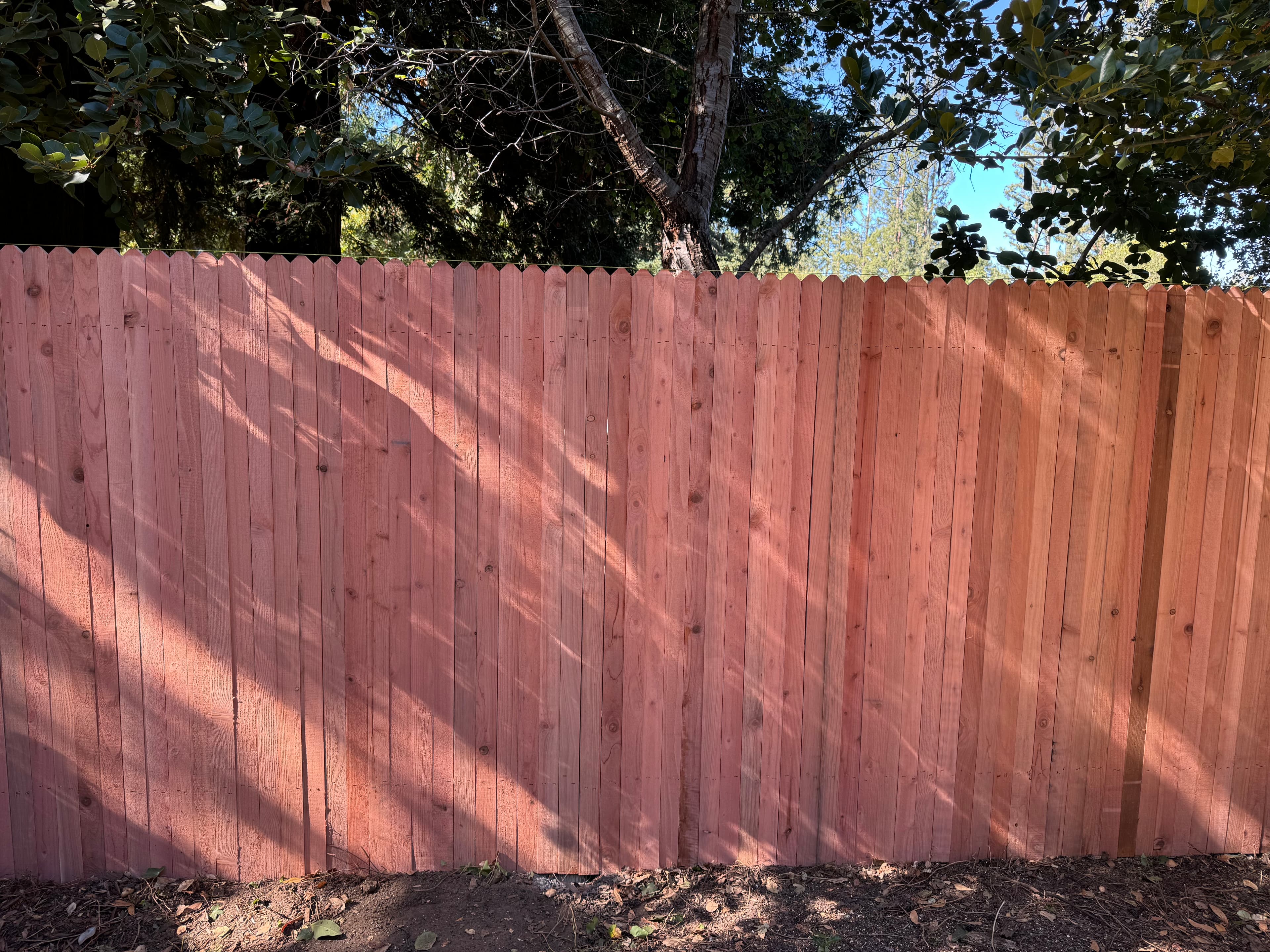 Nail On Dog  Ear 1x3 Heart