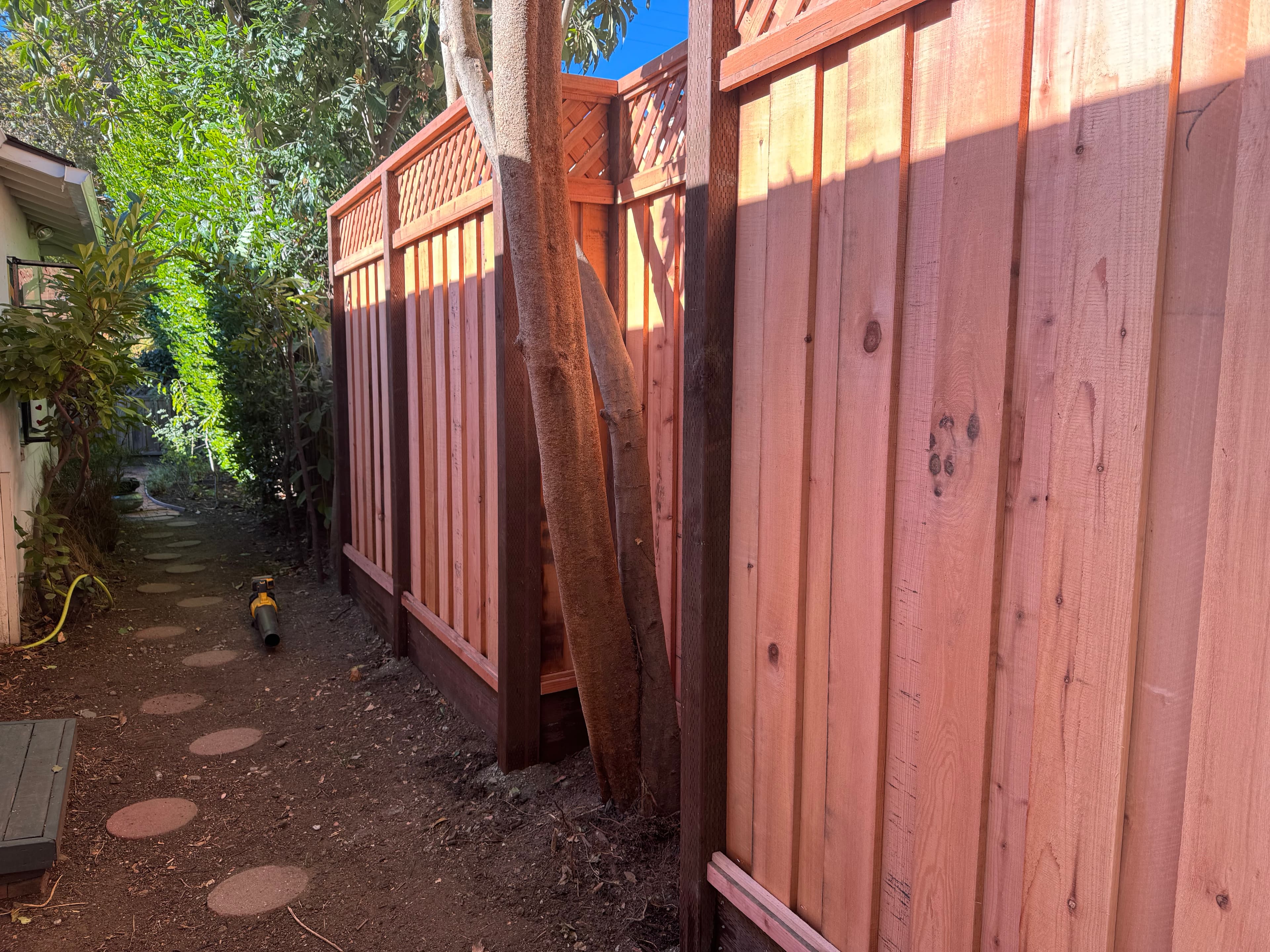 7+1 BoB Box Around Tree