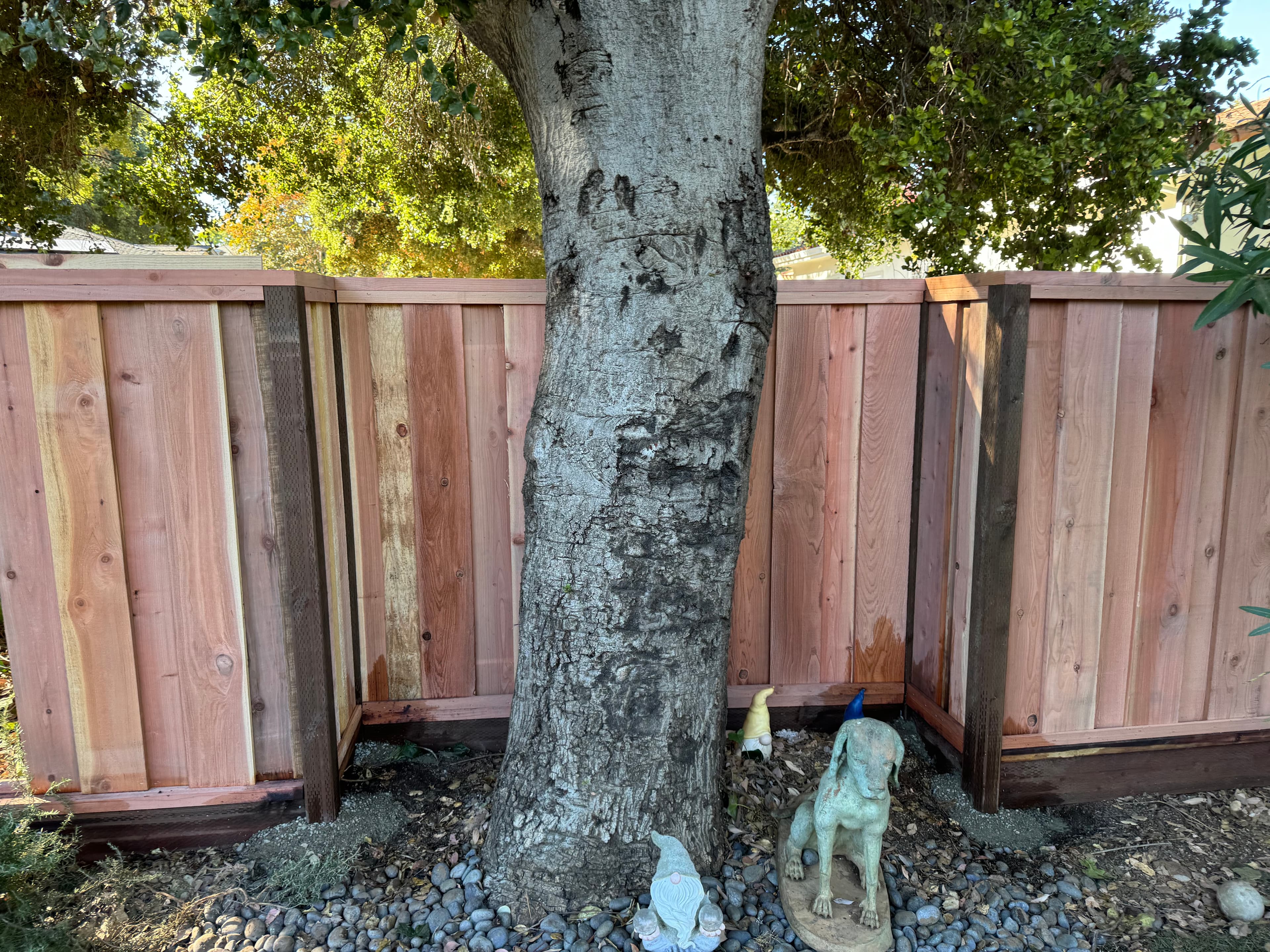 Box Around  Tree Large Space