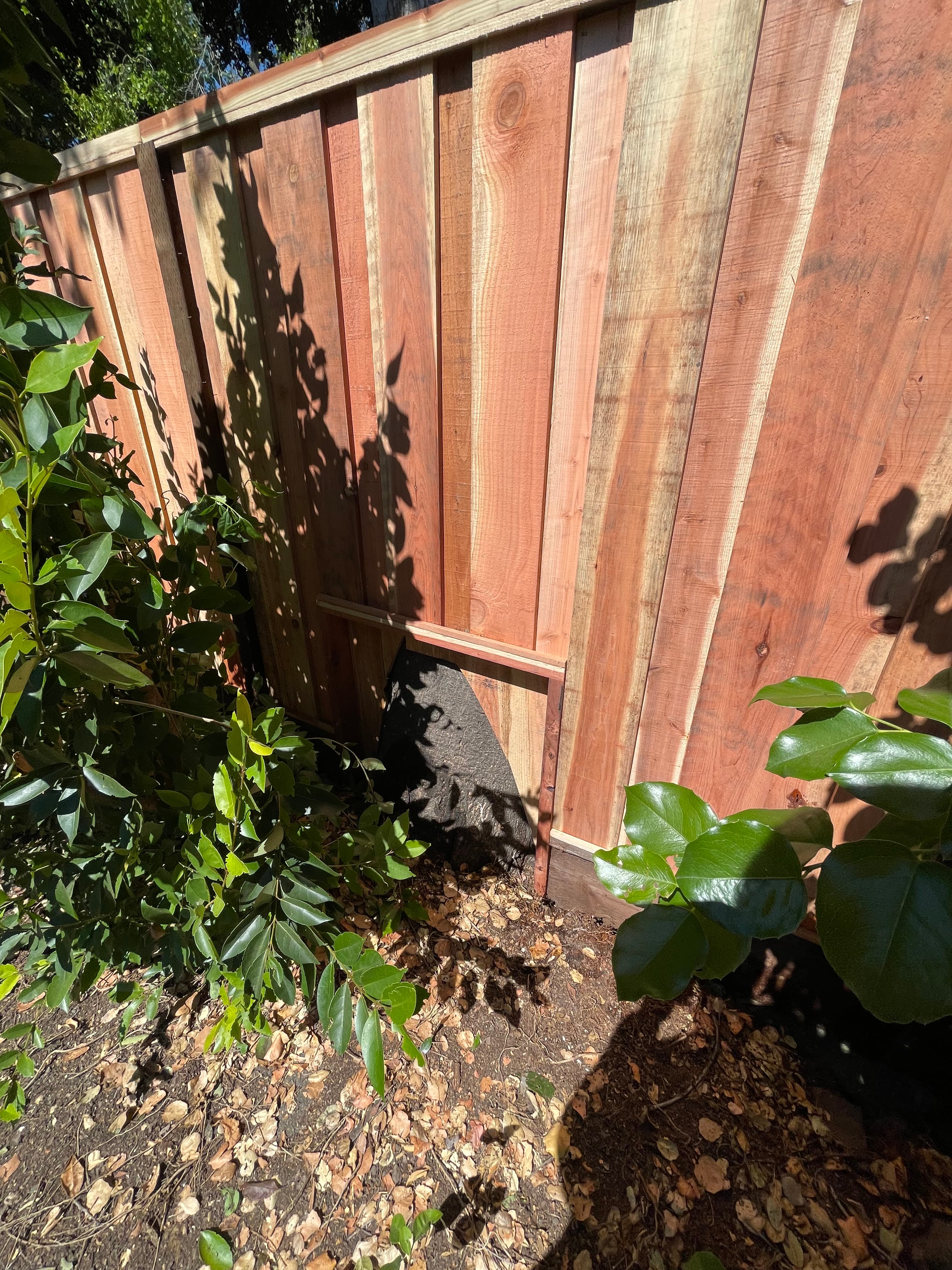 Build Around Tree Rear