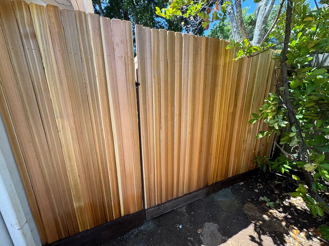 Grape Stake With Kickboard