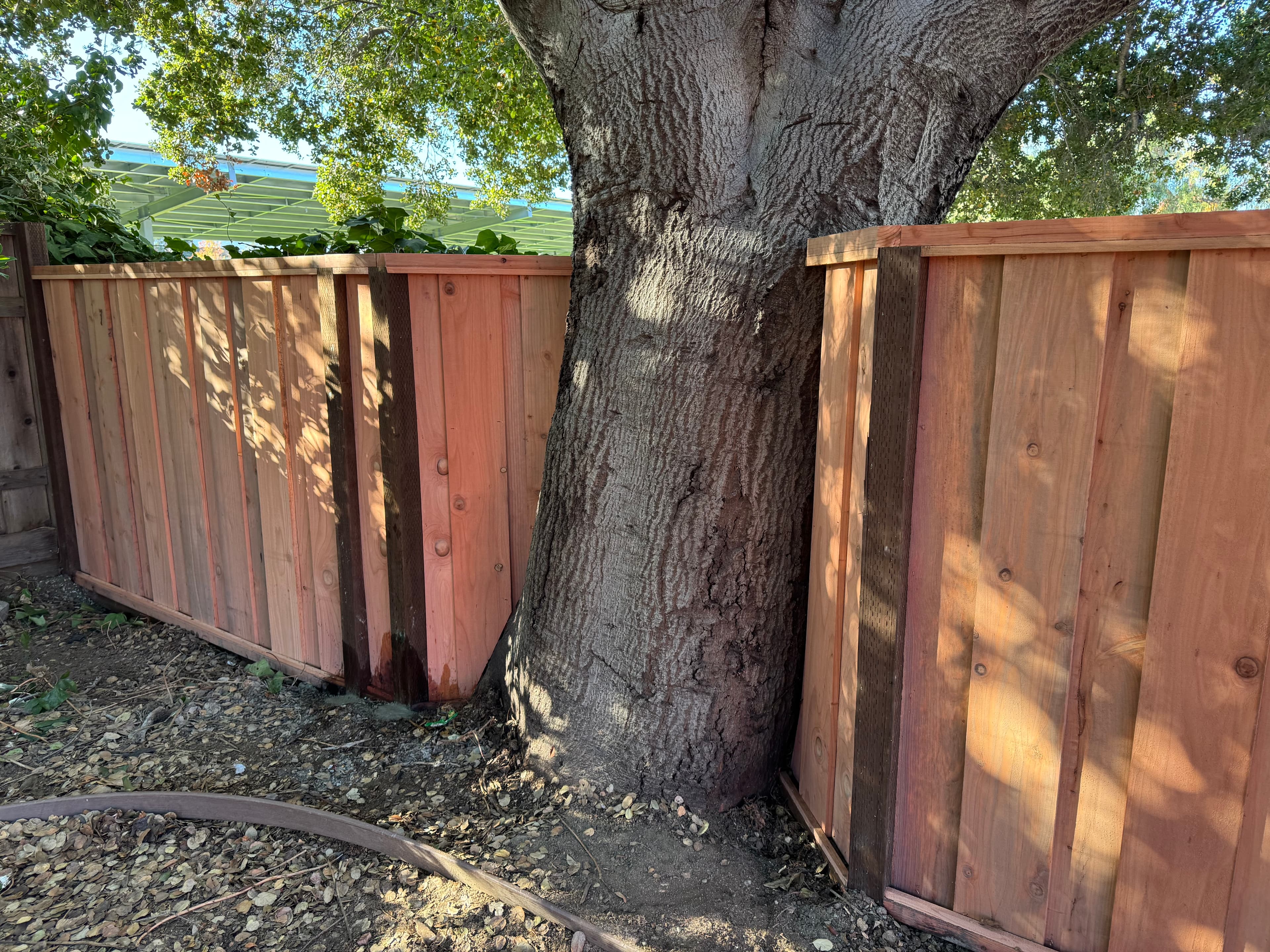 Build To Tree Angled 2