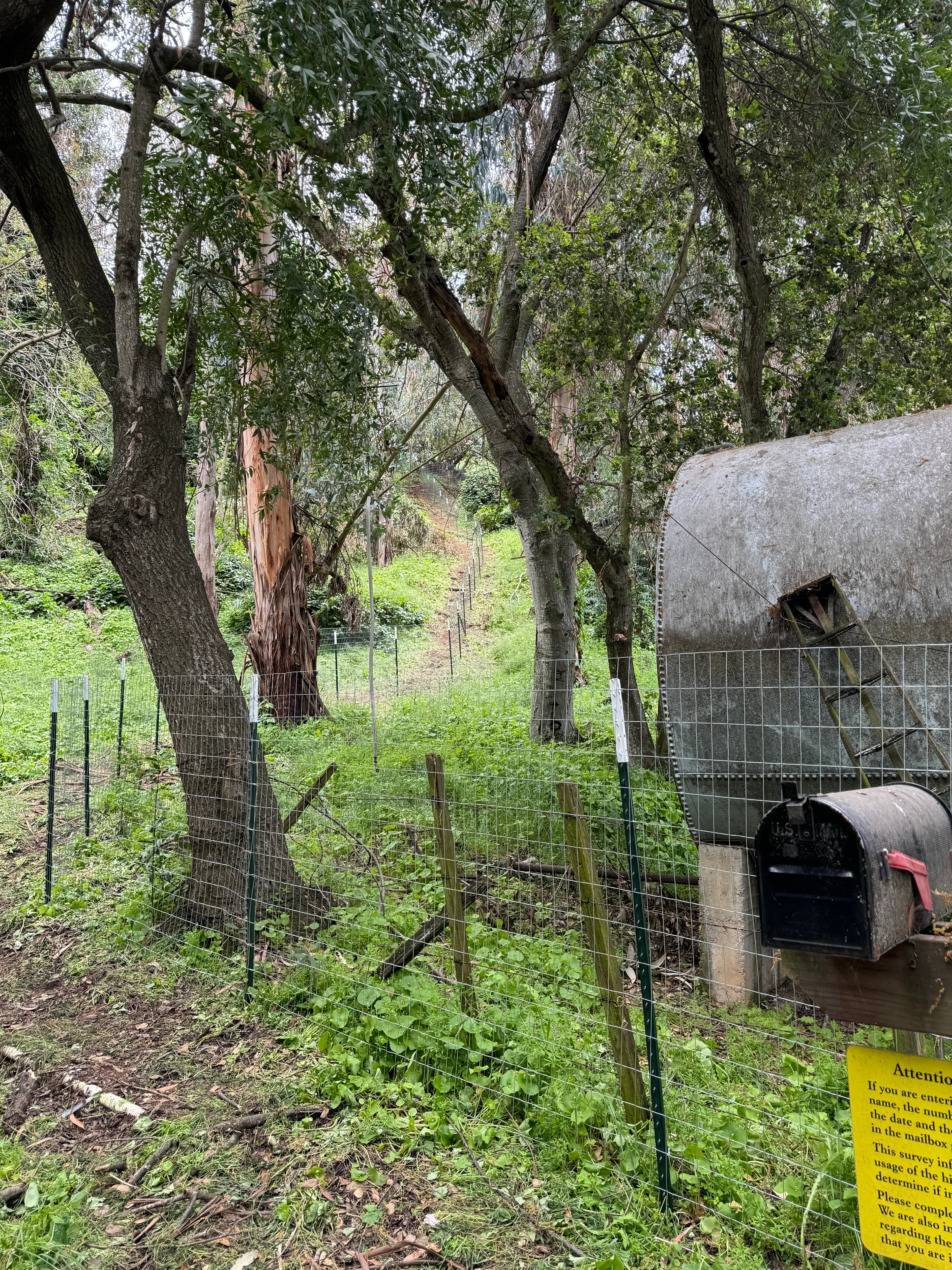 2"X4" W Metal T Post 5'