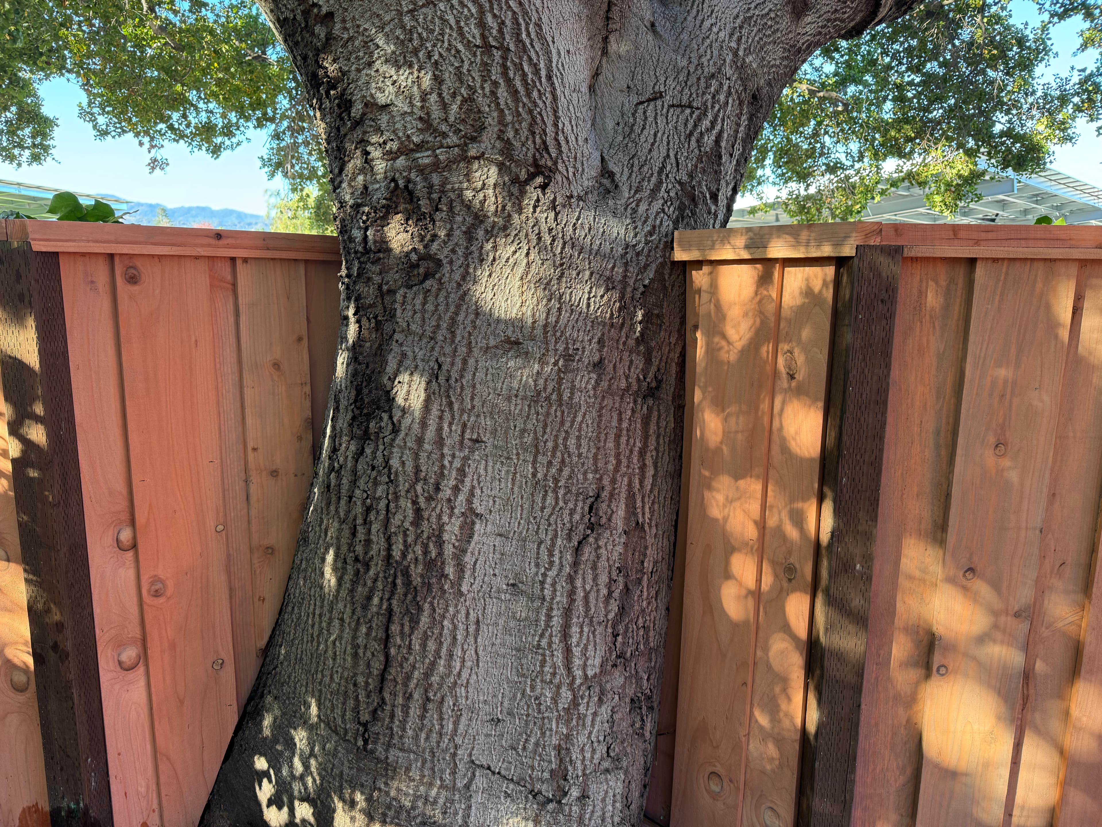 Build To Tree Angled