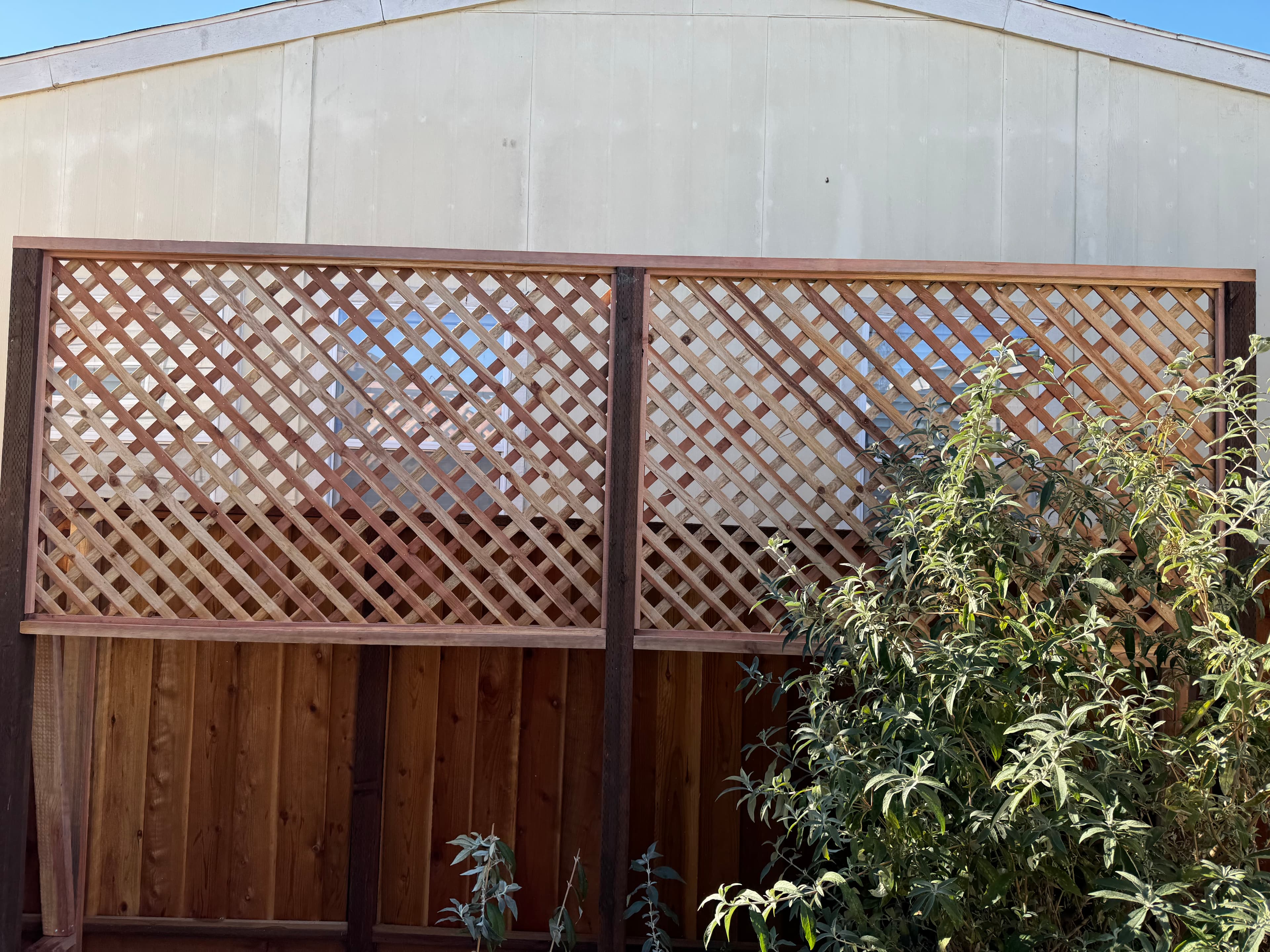 Lattice For Vines